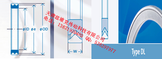 GMNDL63X80X4油封圖紙